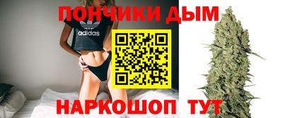 МДПВ Дубна