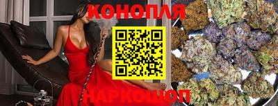 МДПВ Дубна