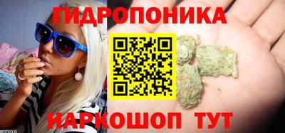 МДПВ Дубна