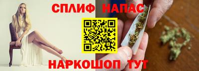 МДПВ Дубна