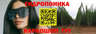 МДПВ Дубна