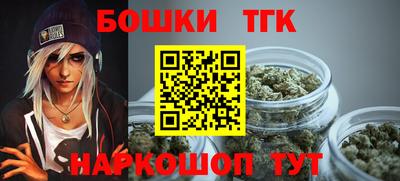 МДПВ Дубна