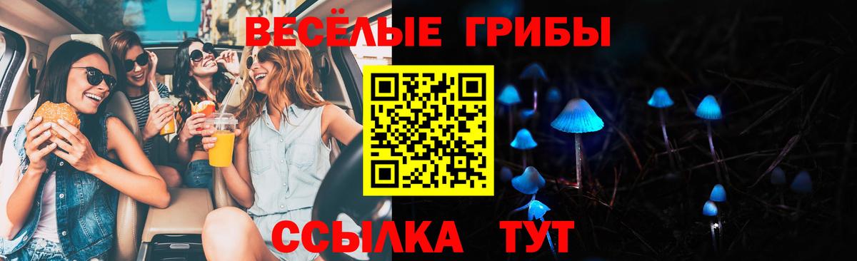 Псилоцибиновые грибы Psilocybe  Вход с VPN  Верхний Уфалей 